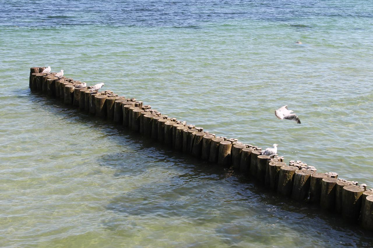 Yachthafenresidenz Leilighet Ostseebad Kühlungsborn Eksteriør bilde